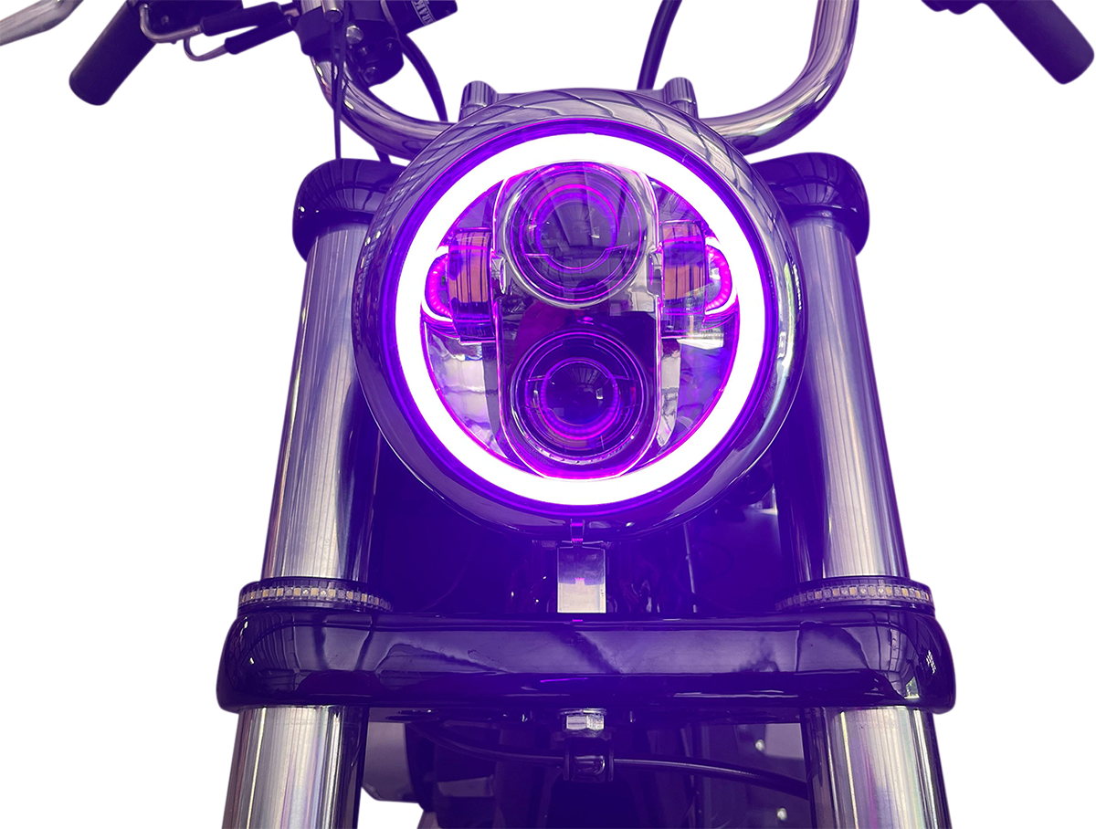 Custom Dynamics - 1957-2022 Harley Davidson - ProGLow 5 3/4" LED Headlamp - with Mounting Ring