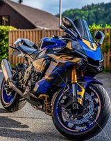 2015-2019 Yamaha YZF 1000 R1 Special Custom Fairing